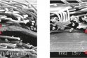 Běžná vícevrstvá fólie - 30 mikronů (interní měření) - vlevo, Tyvek® Supro
220 mikronů (interní měření) - vpravo