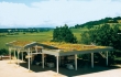 Zelené střechy jako součást ekologického hospodaření s dešťovou vodou