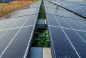 Společnost Geiger uvádí do provozu velkou fotovoltaickou elektrárnu!