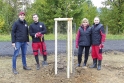 Wienerberger daruje 30 stromů městu Kostelec nad Orlicí