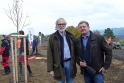 Wienerberger daruje 30 stromů městu Kostelec nad Orlicí