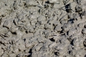 Detailní pohled na čerstvý beton STEELCRETE®