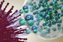 nanoe X si poradí s drtivou většinou alergenů a jiných nečistot v interiéru